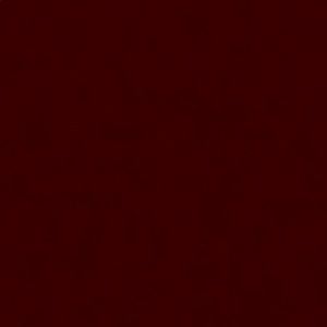 Sexy and cute of shower